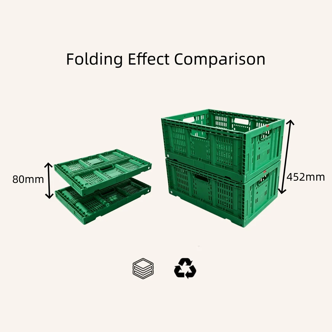 keyun-green-collapsible-plastic-crate-folded-and-open Green collapsible plastic crate shown folded flat and fully open for a height comparison