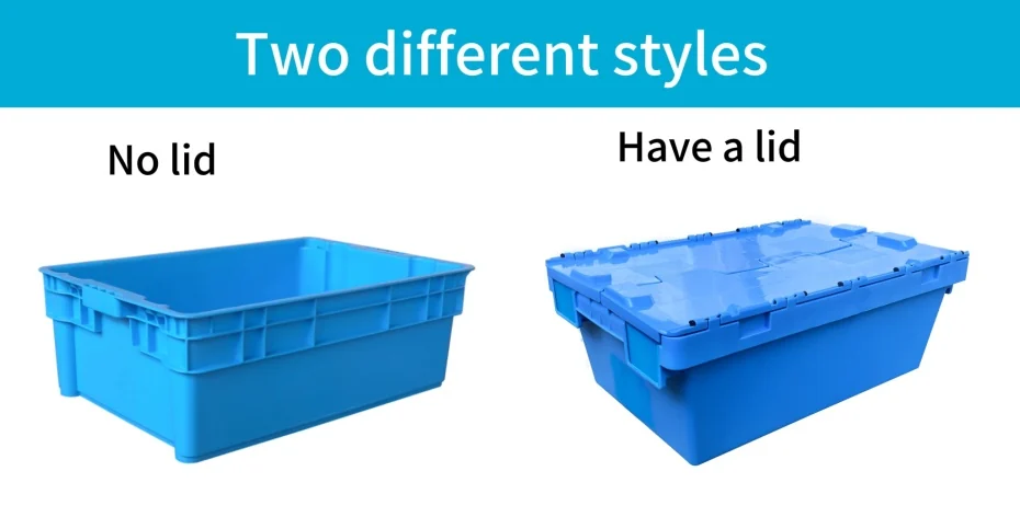 CX6040225C attached lid container structural design and product details